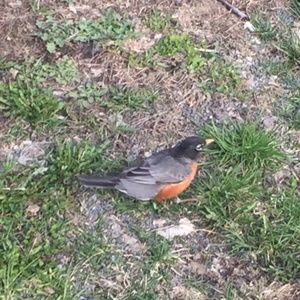 Meet your Posher, Marc arthur